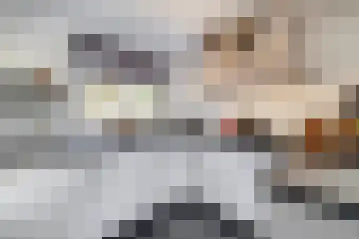 Dieze 16 Tilburg thumbnail 23
