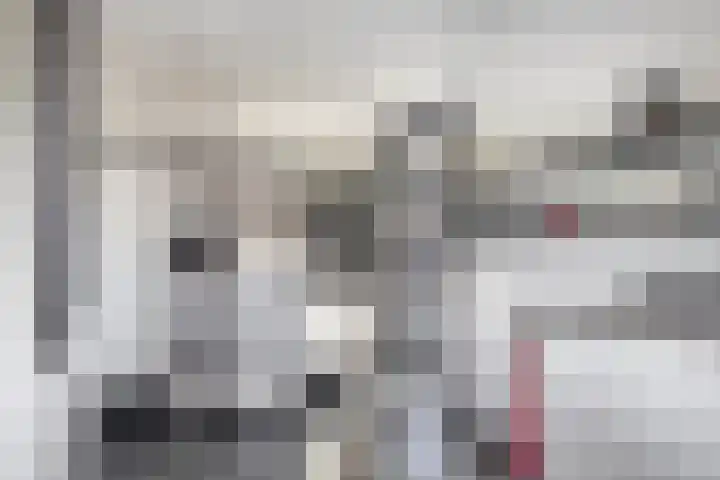 Dieze 16 Tilburg thumbnail 26
