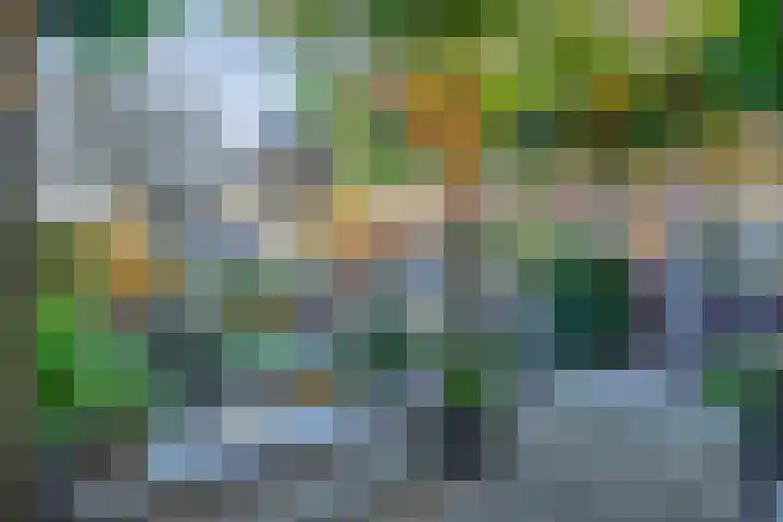 Dieze 16 Tilburg thumbnail 29