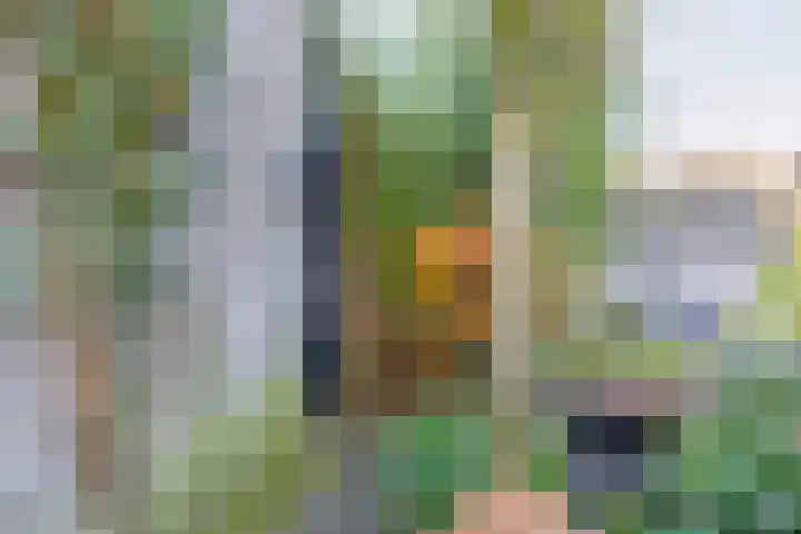 Dieze 16 Tilburg thumbnail 30
