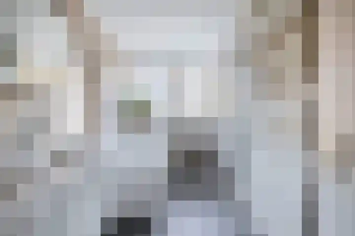 Dieze 16 Tilburg thumbnail 35