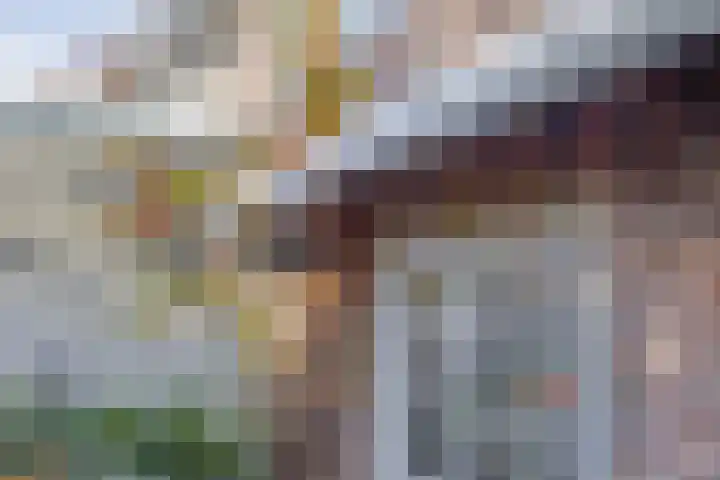 Dieze 16 Tilburg thumbnail 44