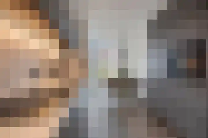 Dieze 19 Veldhoven thumbnail 14