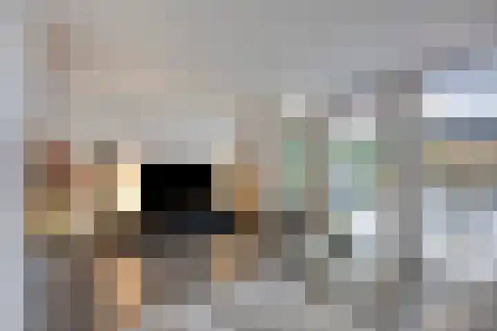 Dieze 19 Veldhoven thumbnail 20