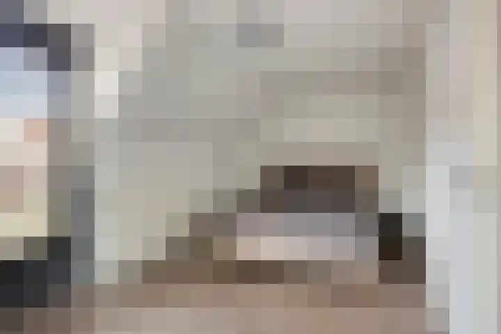 Dieze 19 Veldhoven thumbnail 21