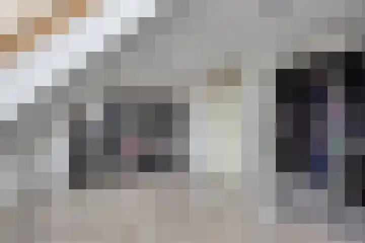 Dieze 19 Veldhoven thumbnail 26