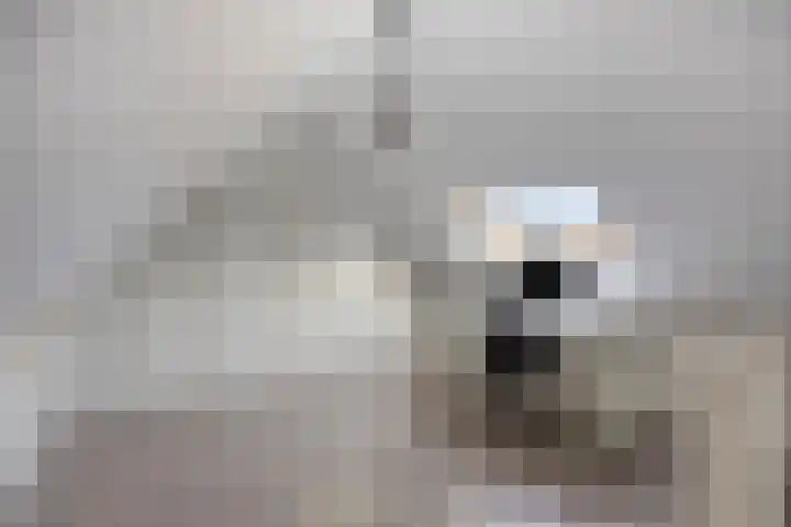 Dieze 19 Veldhoven thumbnail 27