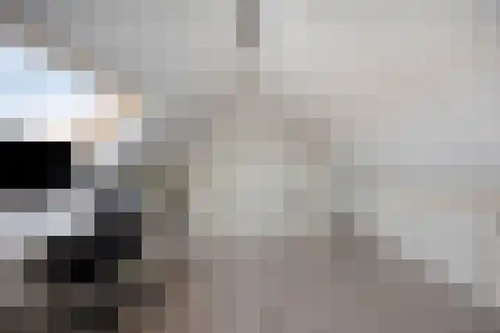 Dieze 19 Veldhoven thumbnail 28