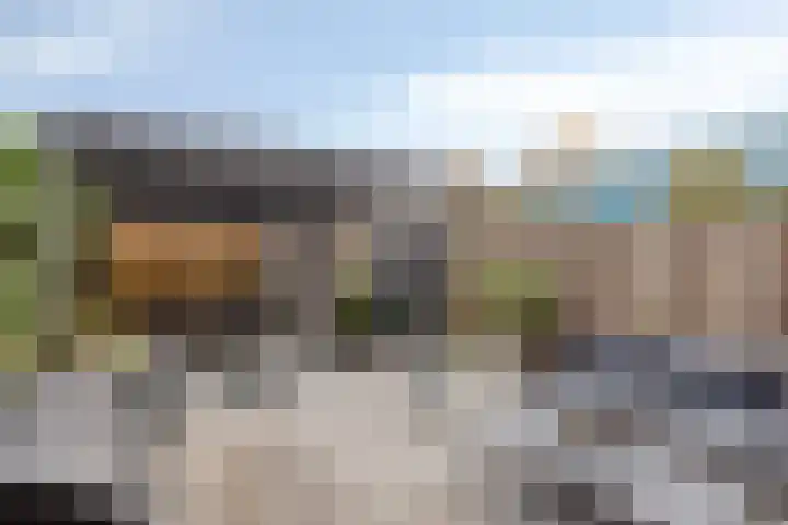 Dieze 19 Veldhoven thumbnail 29