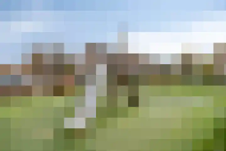 Dieze 19 Veldhoven thumbnail 36