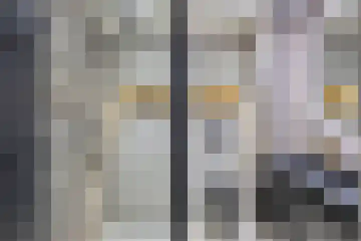 Dieze 19 Veldhoven thumbnail 5