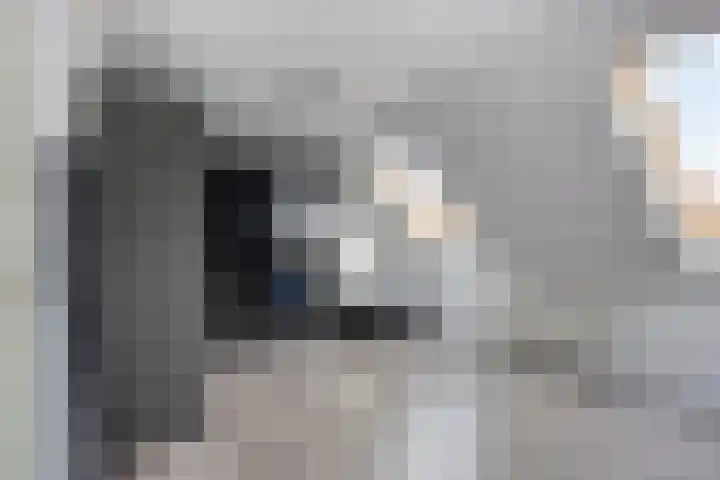 Dieze 19 Veldhoven thumbnail 6