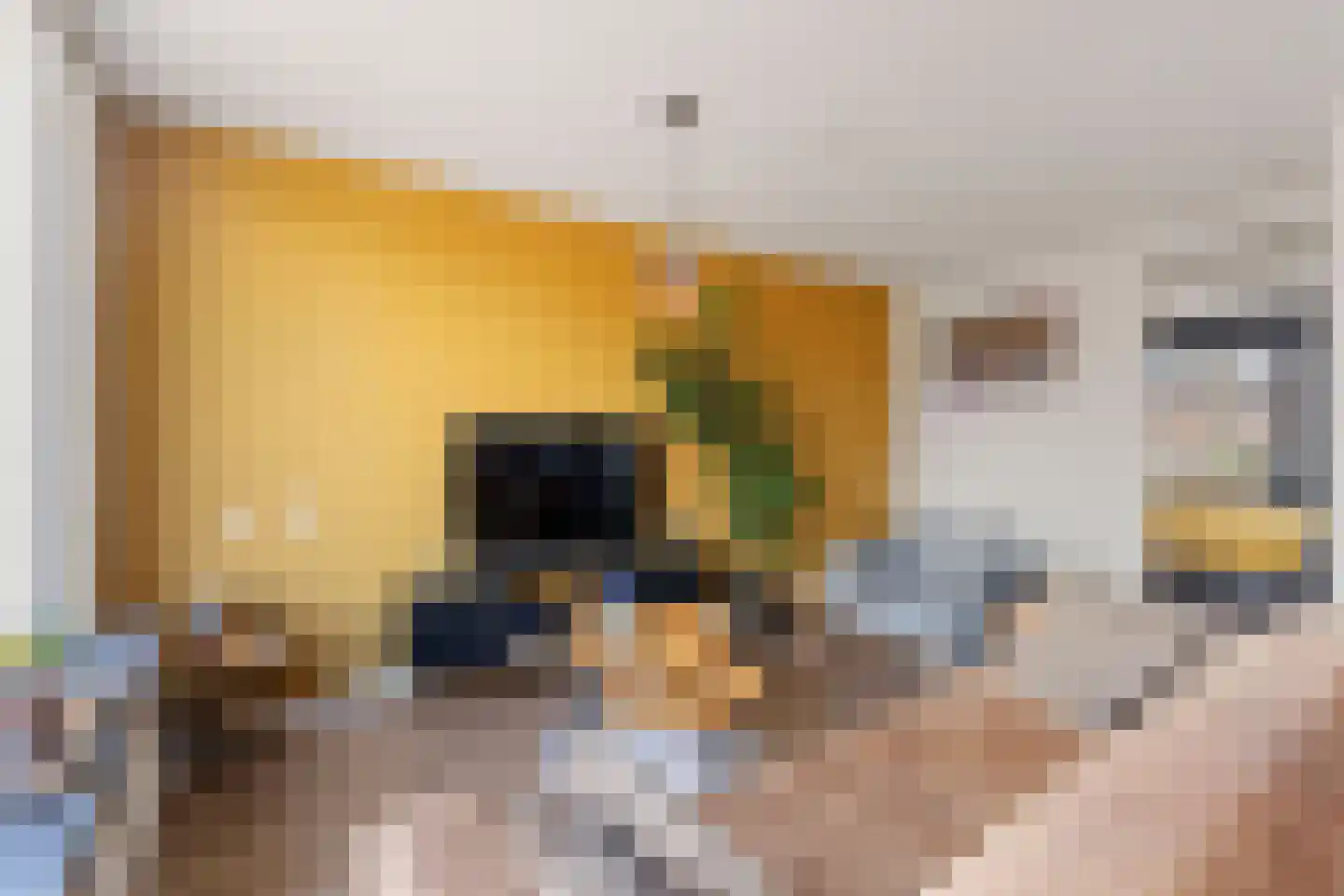 Dieze 2 Rotterdam thumbnail 12