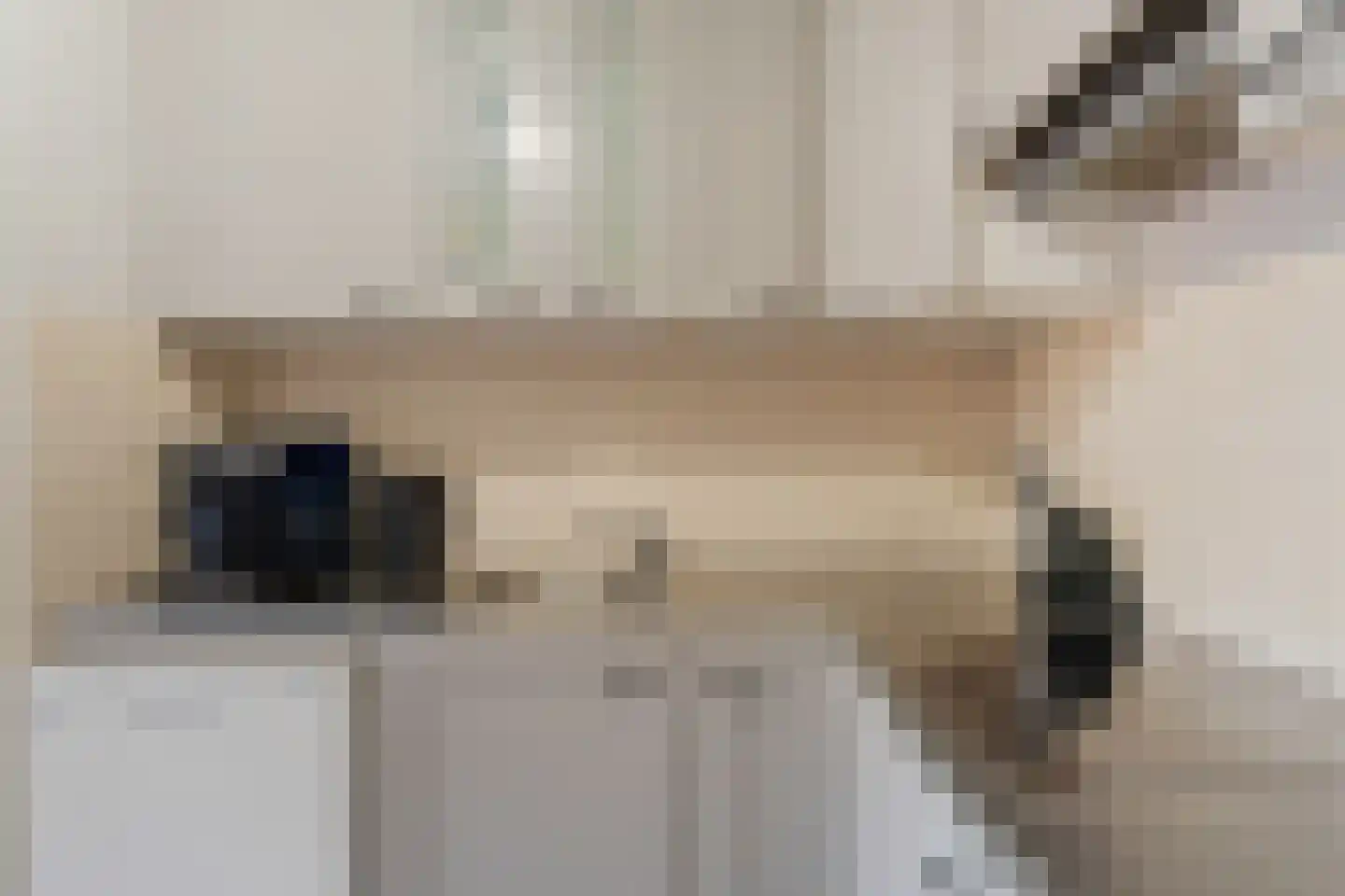 Dieze 2 Rotterdam thumbnail 14