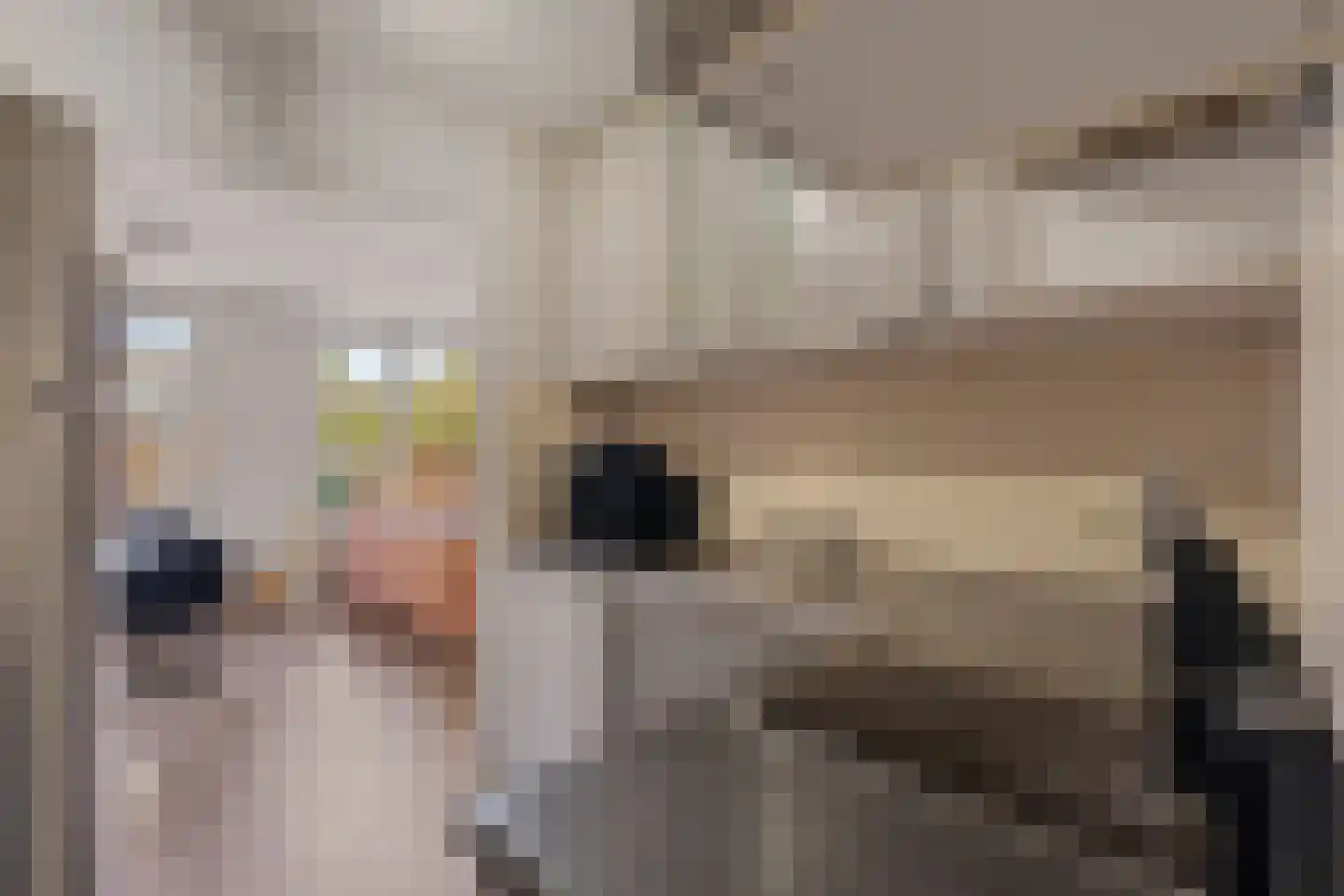 Dieze 2 Rotterdam thumbnail 15