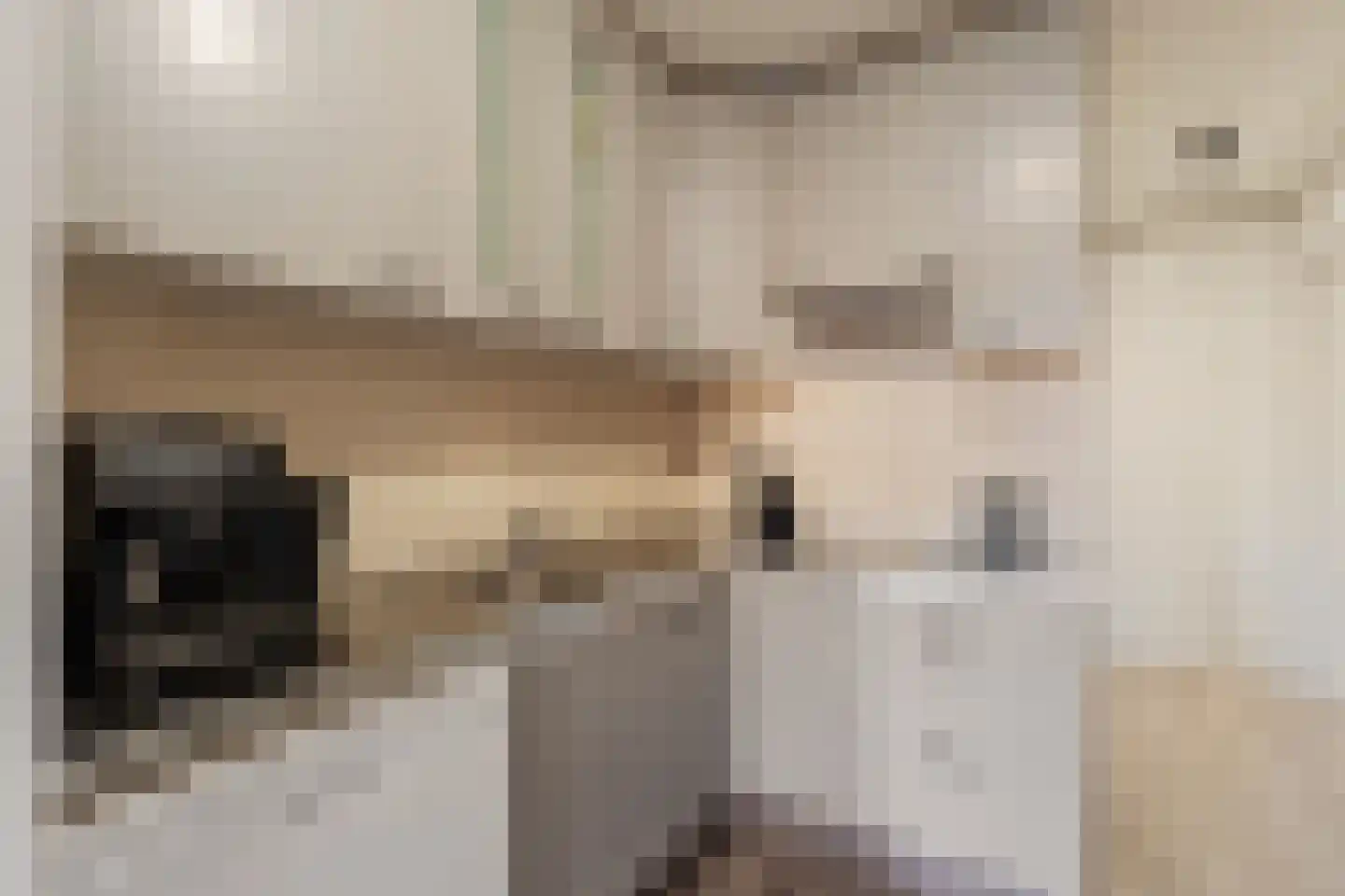 Dieze 2 Rotterdam thumbnail 4