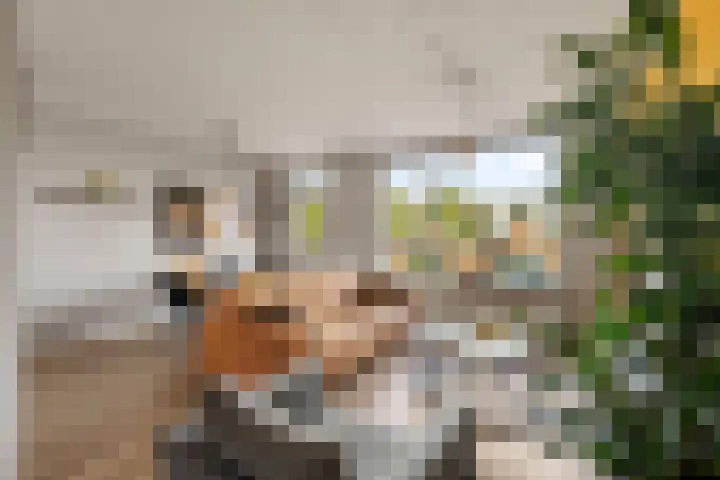 Dieze 2 Rotterdam thumbnail 9