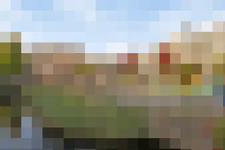 Dieze 22 Rotterdam thumbnail 17