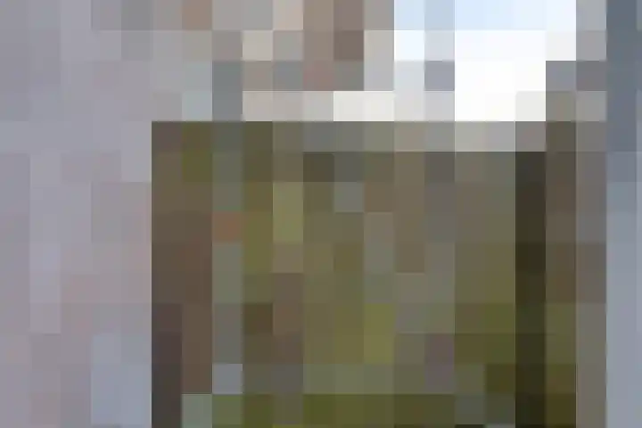 Dieze 22 Rotterdam thumbnail 5