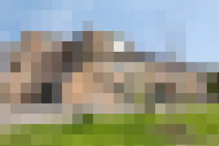 Dieze 22 Rotterdam thumbnail 6