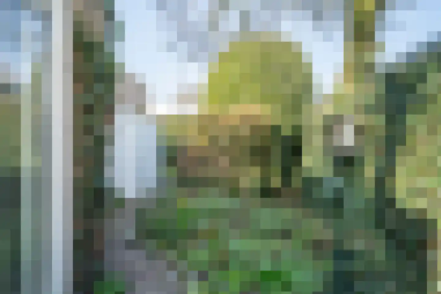 Dieze 24 Deurne thumbnail 16