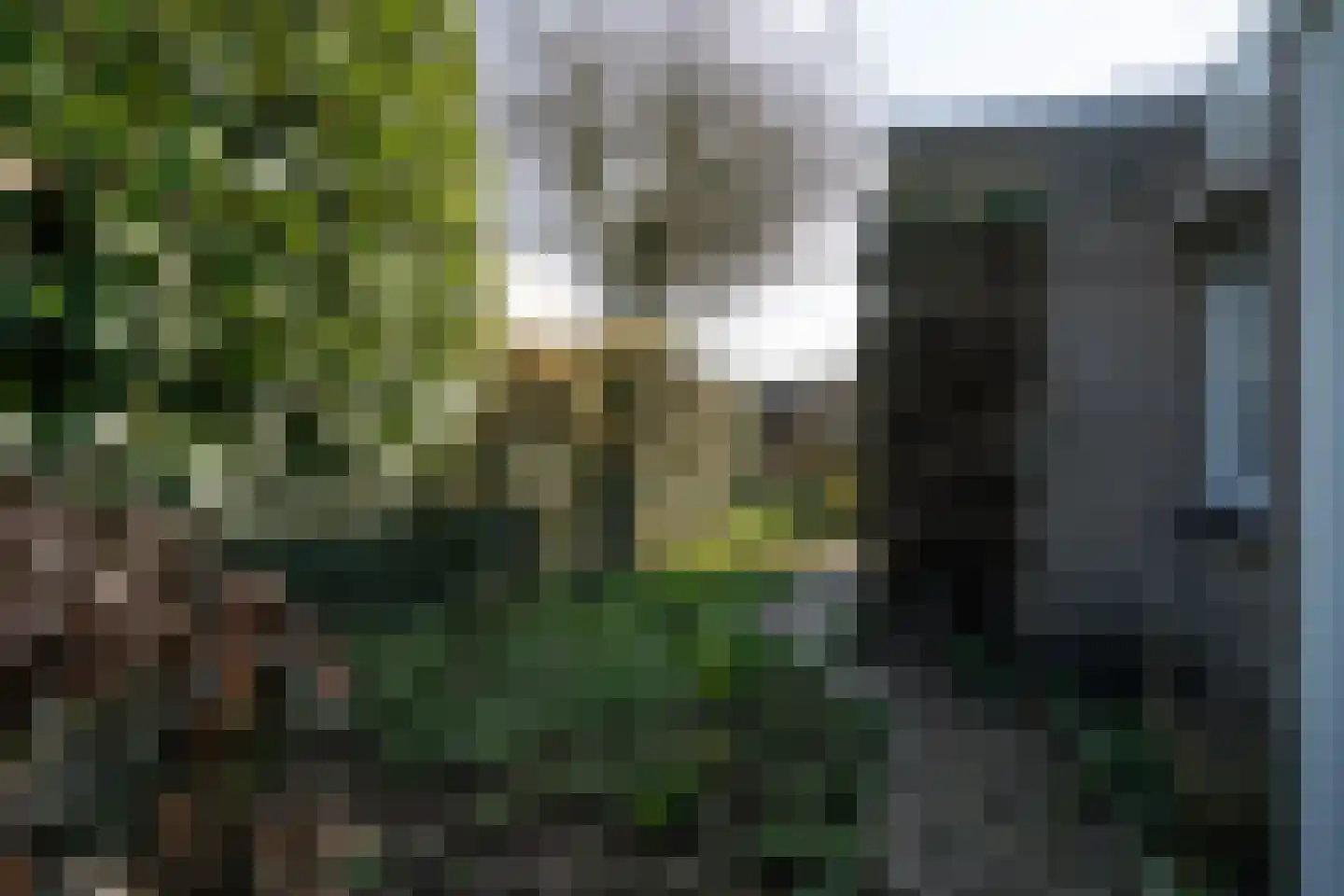 Dieze 24 Deurne thumbnail 20