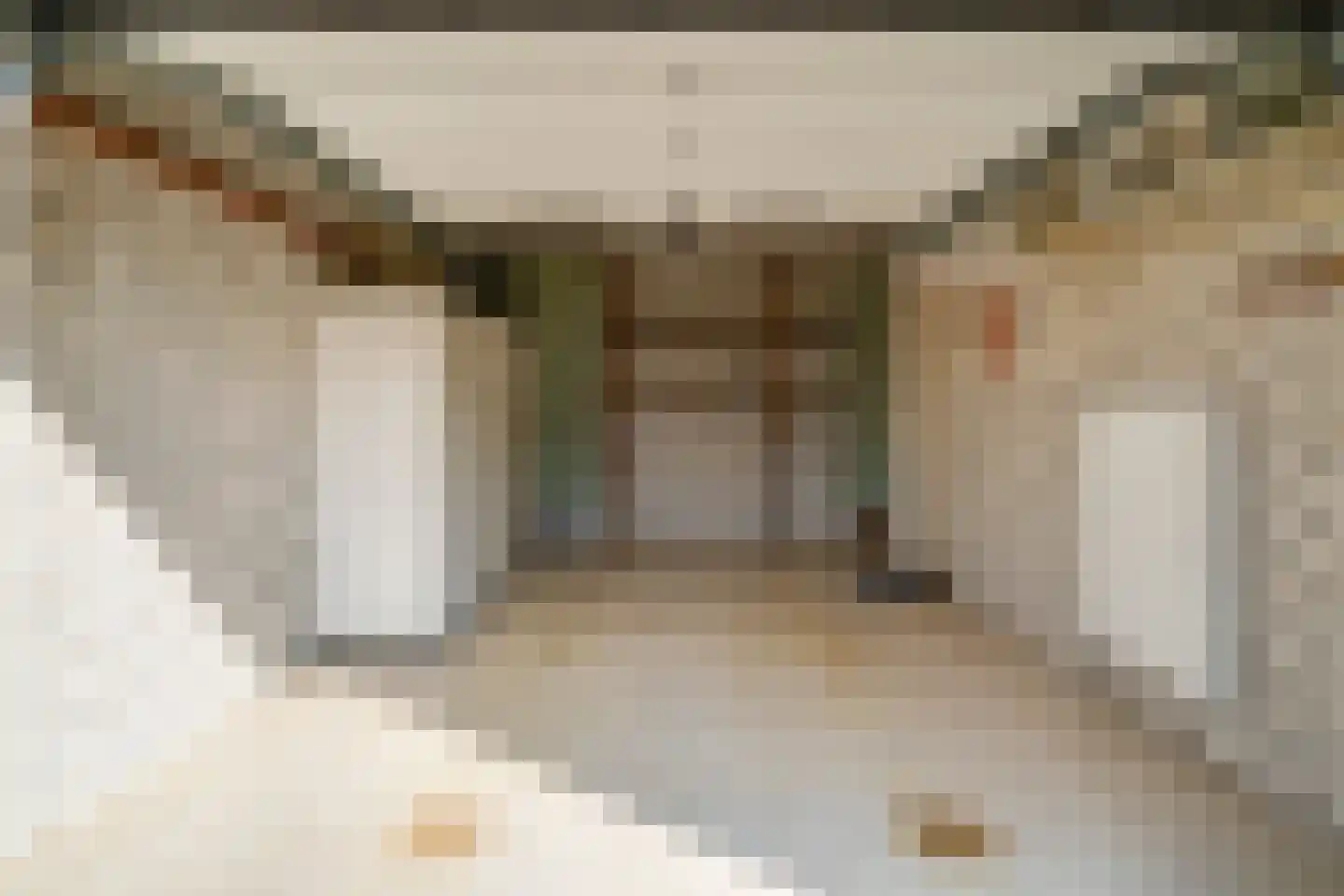 Dieze 24 Deurne thumbnail 28