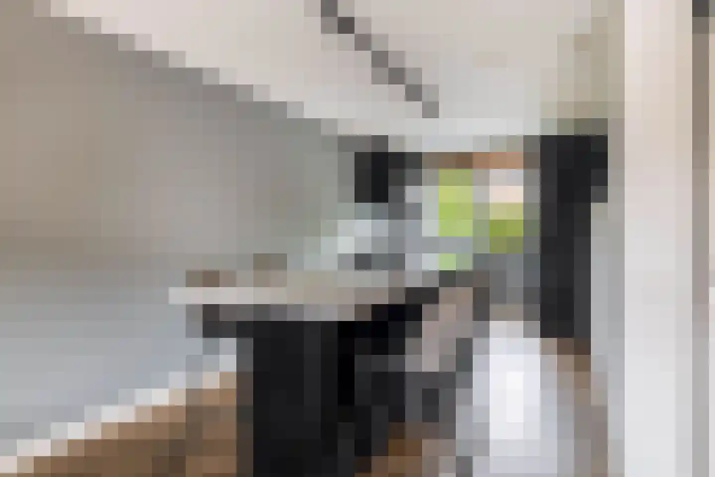 Dieze 25 Nieuwerkerk aan den IJssel thumbnail 18