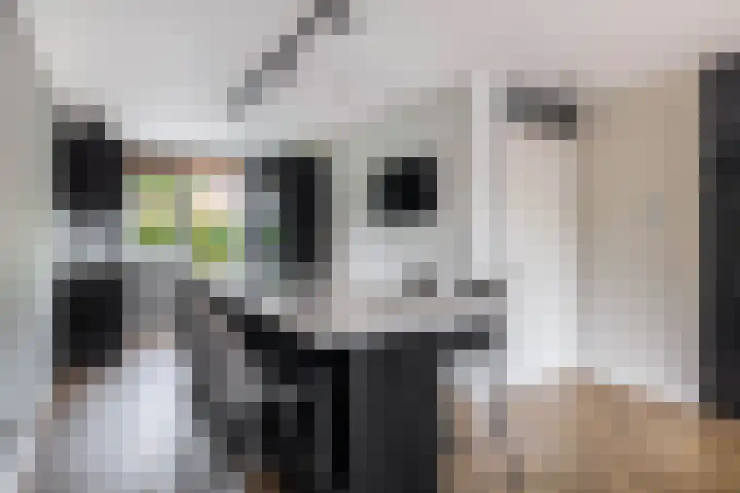 Dieze 25 Nieuwerkerk aan den IJssel thumbnail 19