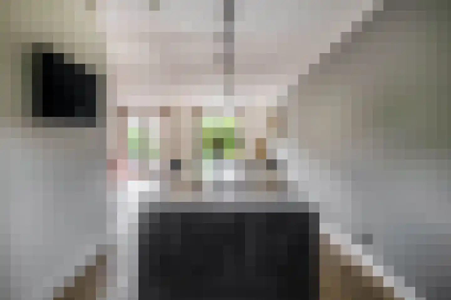 Dieze 25 Nieuwerkerk aan den IJssel thumbnail 20