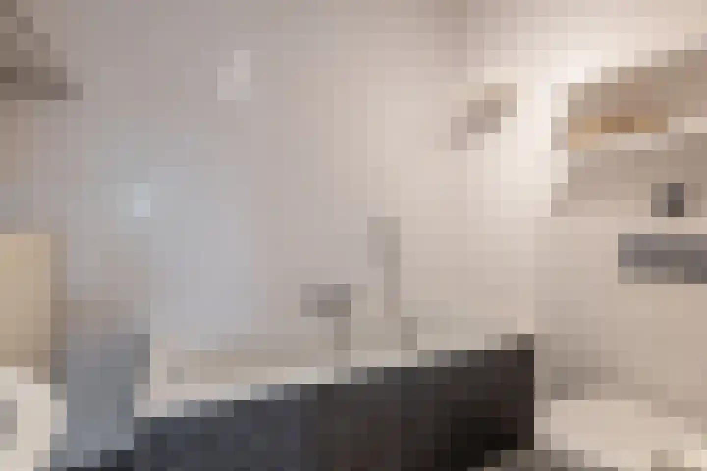 Dieze 25 Nieuwerkerk aan den IJssel thumbnail 34