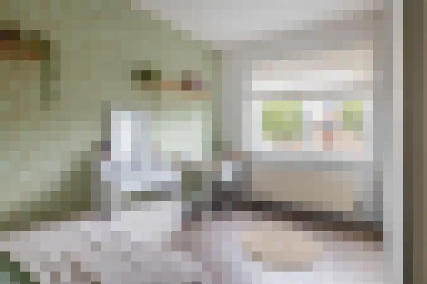 Dieze 25 Nieuwerkerk aan den IJssel thumbnail 38
