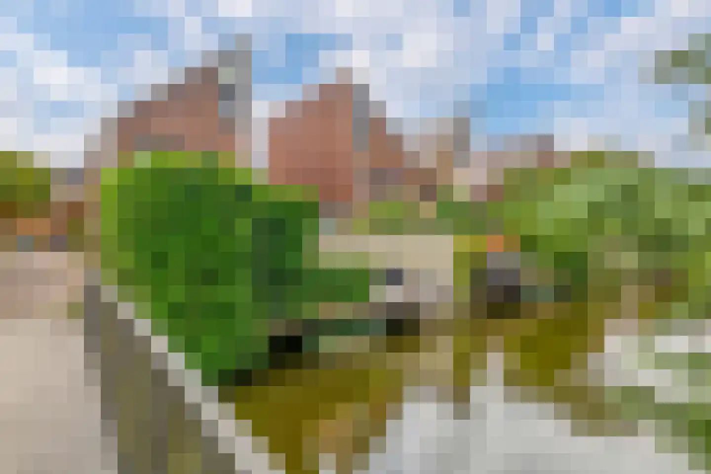Dieze 25 Nieuwerkerk aan den IJssel thumbnail 48