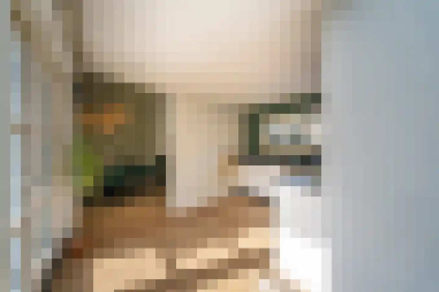 Dieze 26 Tilburg thumbnail 17