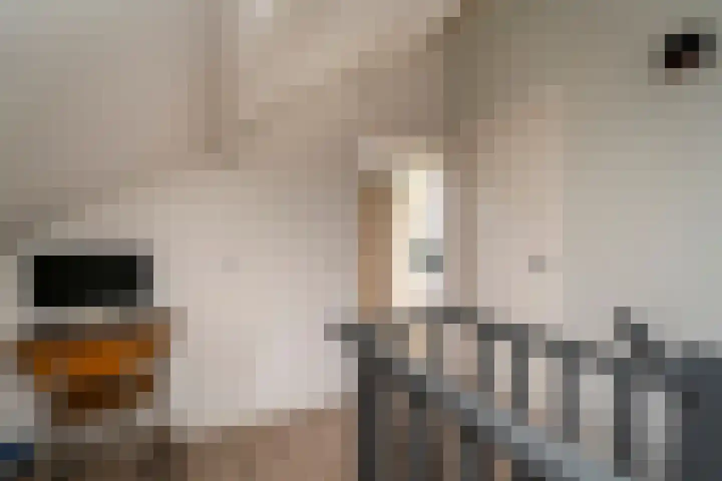 Dieze 26 Tilburg thumbnail 34