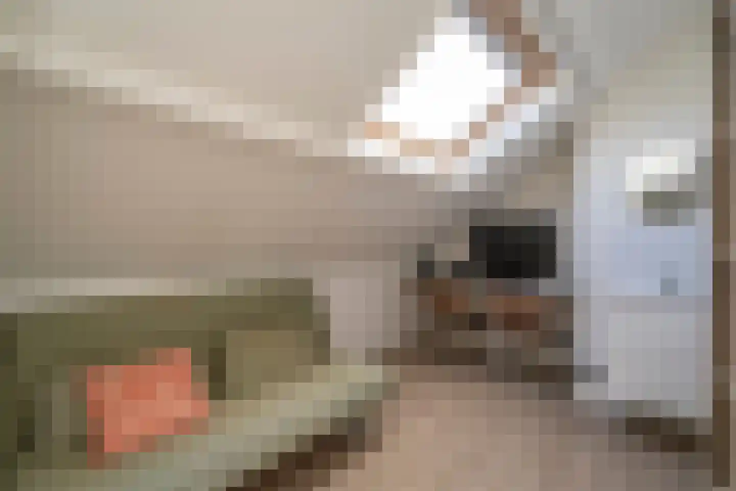 Dieze 26 Tilburg thumbnail 35