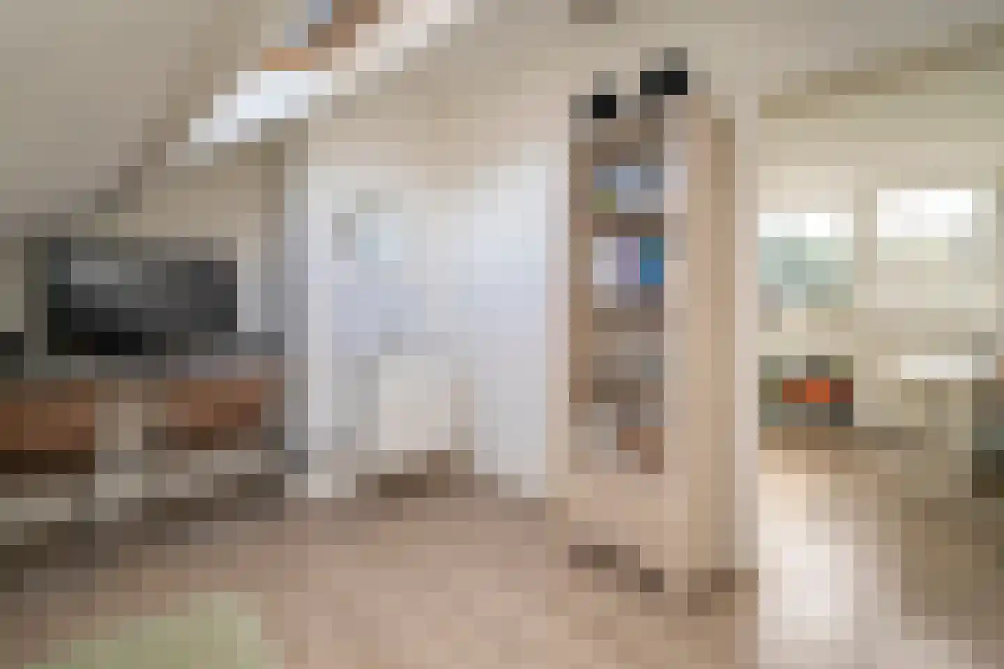 Dieze 26 Tilburg thumbnail 36