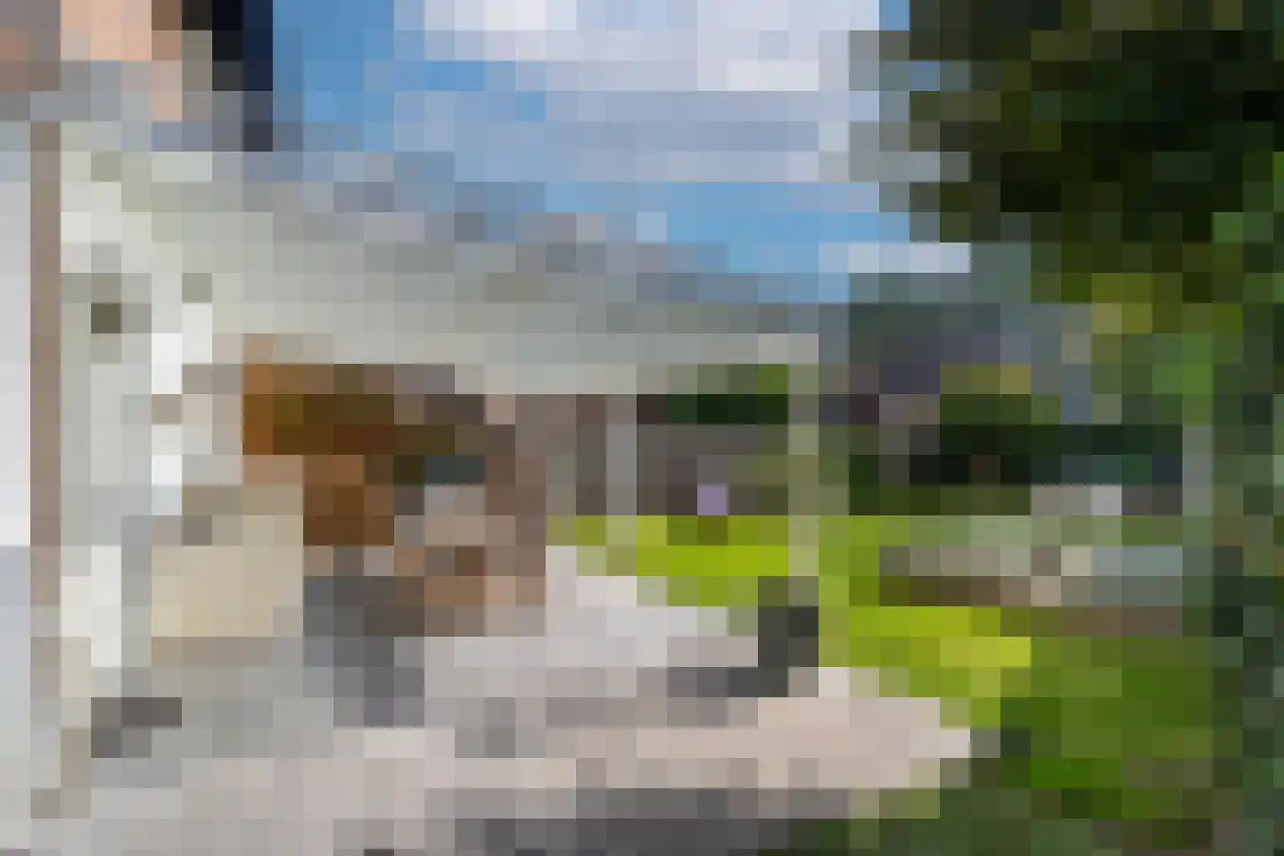 Dieze 26 Tilburg thumbnail 8