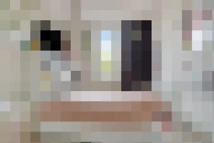 Dieze 32 Veldhoven thumbnail 19