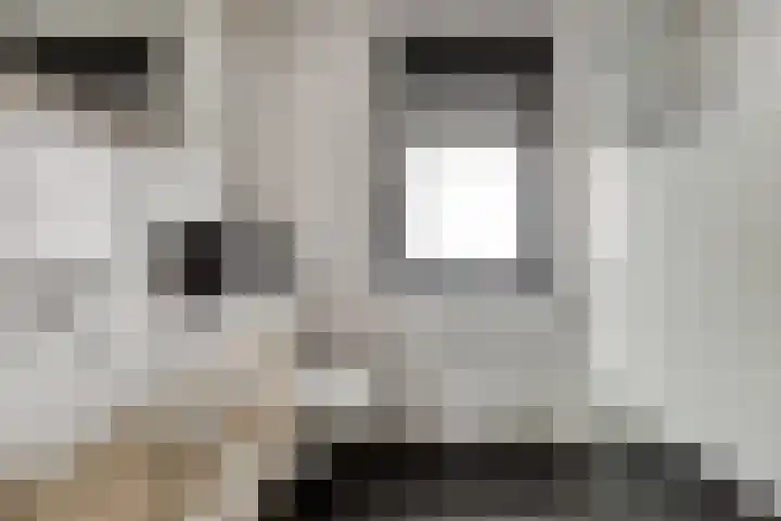 Dieze 32 Veldhoven thumbnail 21