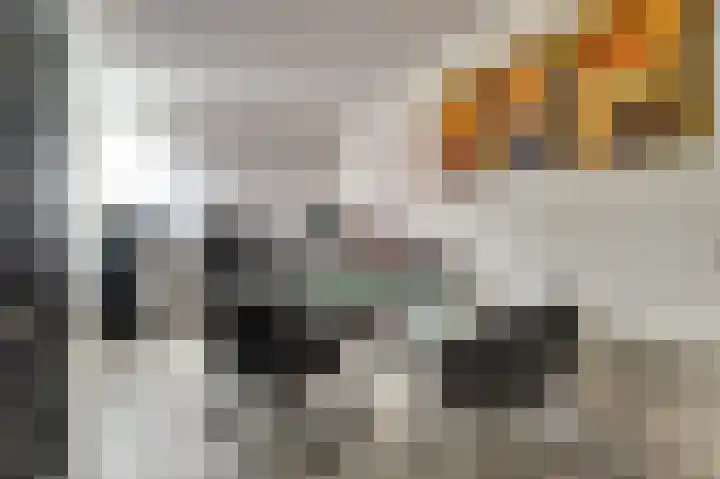 Dieze 34 Oisterwijk thumbnail 21