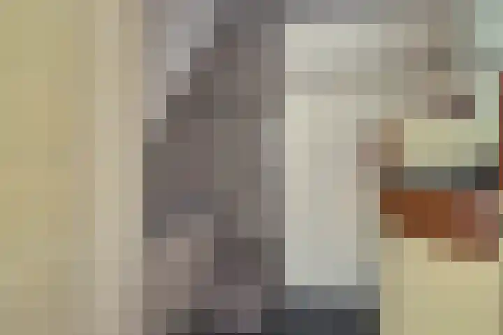 Dieze 34 Oisterwijk thumbnail 23