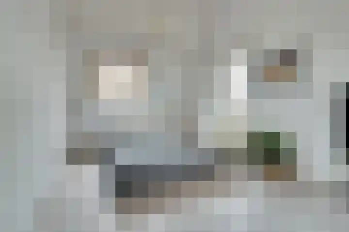 Dieze 34 Oisterwijk thumbnail 30