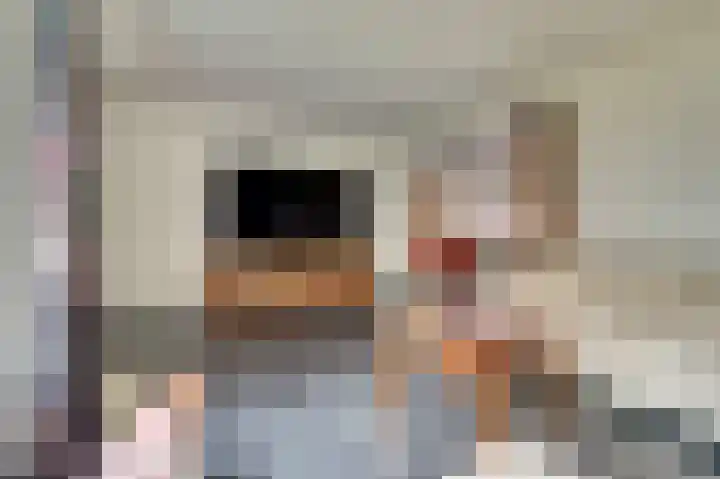 Dieze 34 Oisterwijk thumbnail 5