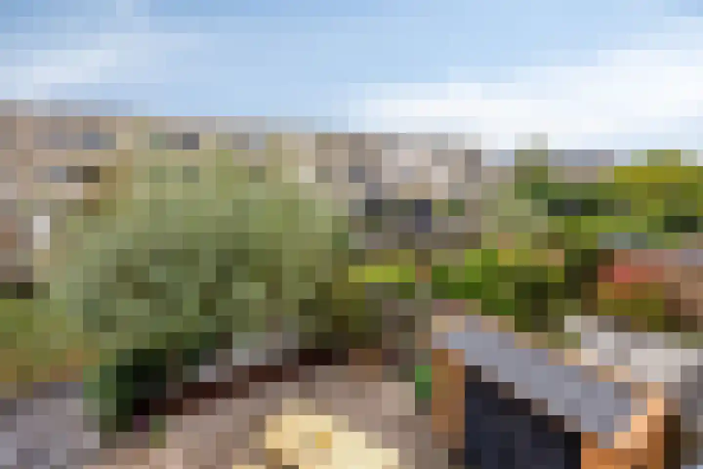 Dieze 35 Nieuwerkerk aan den IJssel thumbnail 17