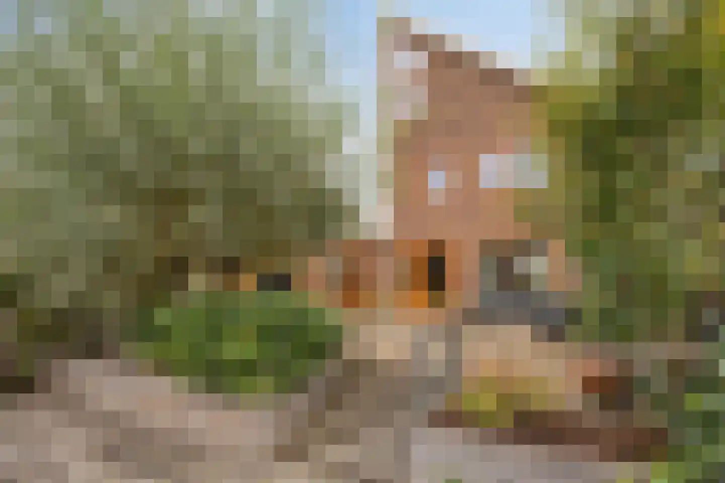 Dieze 35 Nieuwerkerk aan den IJssel foto 2