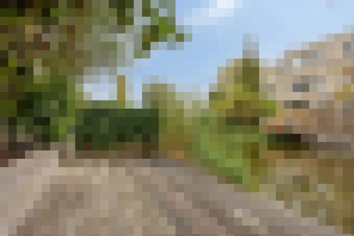 Dieze 35 Nieuwerkerk aan den IJssel thumbnail 29