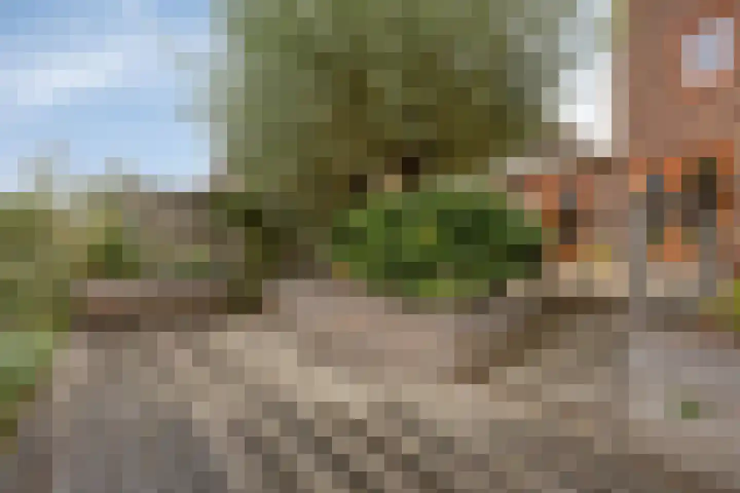 Dieze 35 Nieuwerkerk aan den IJssel thumbnail 30