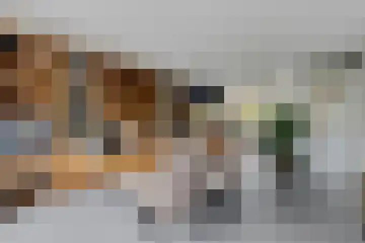 Dieze 37 Nieuwerkerk aan den IJssel thumbnail 14