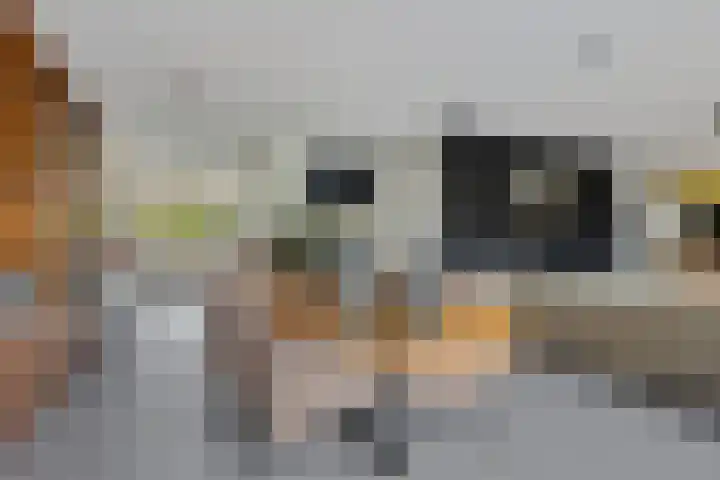 Dieze 37 Nieuwerkerk aan den IJssel thumbnail 15